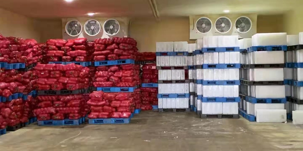 ice maker ice maker #