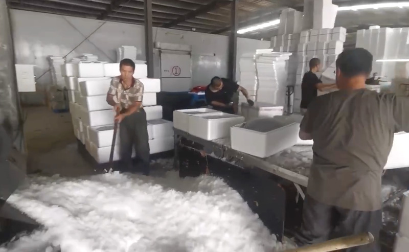 Customer Case 100 tons block ice plant