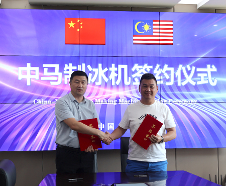 Malezya için Günlük 15 Ton Kapasiteli Güvenilir Buz Bloğu Makinesi