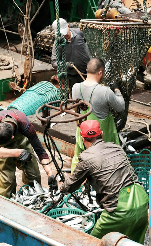 Ice Block Making Machine for Fishery Port