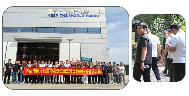 BAOCHARM Ice Machine Manufacturer BAOCHARM Ice Machine Manufacturer