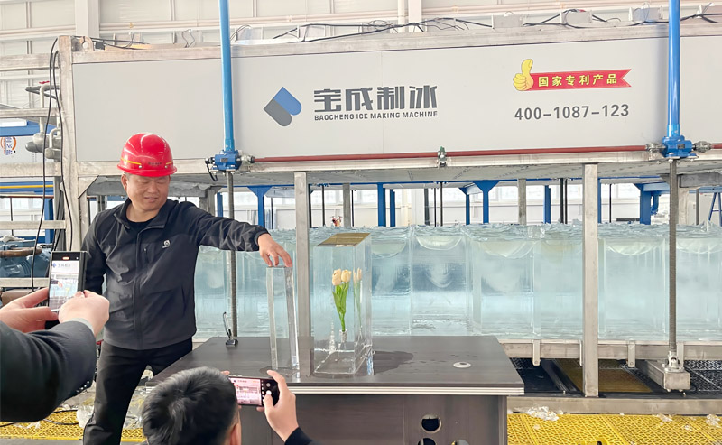 China Clear Ice Block Machine Manufacturer